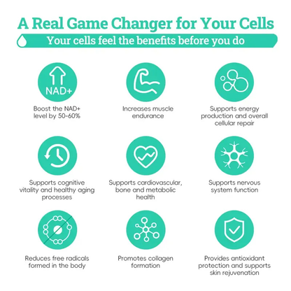 NAD 1000+ by SonderLab